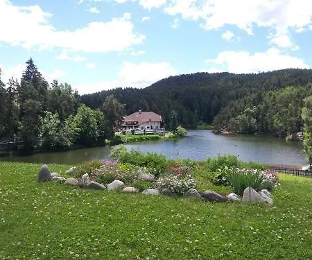 Hotel Am Wolfgrubenersee 3*