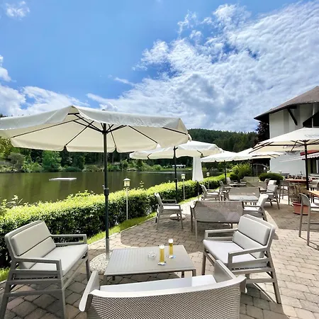 Hotel Am Wolfgrubenersee 3*