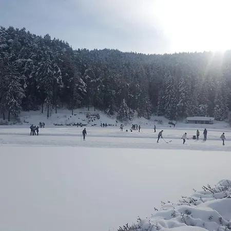 Am Wolfgrubenersee Hotel Soprabolzano