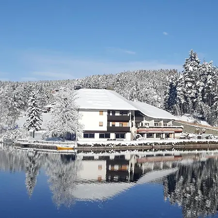 Hotel Am Wolfgrubenersee